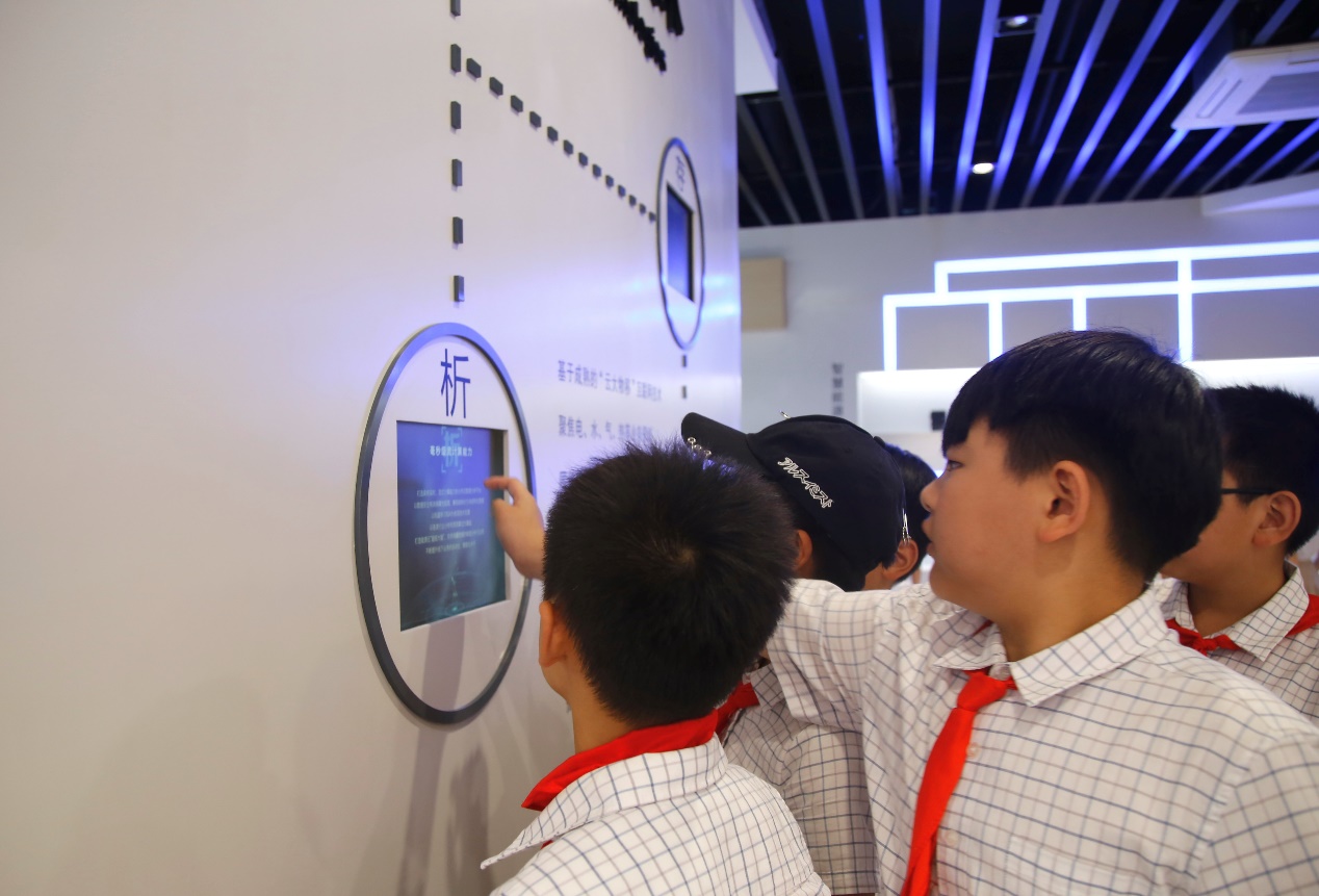 15592862658231787oMv.jpg image015.jpg